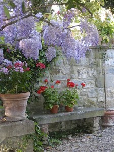 Wisteria Garden